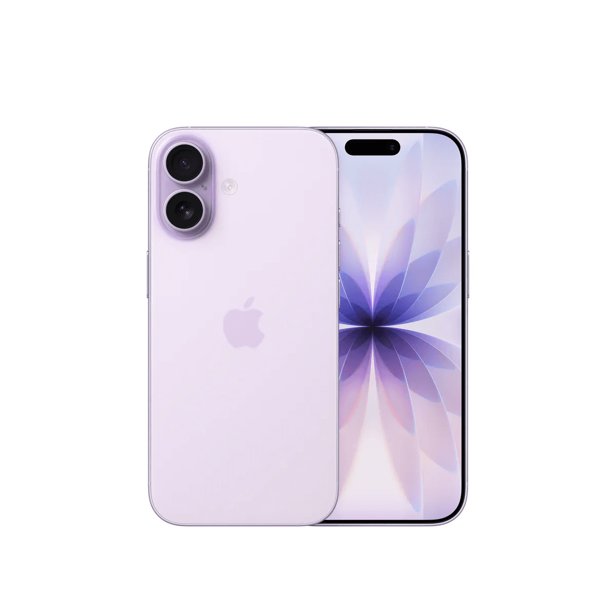 iPhone 17 + FREE 12 Months Warranty