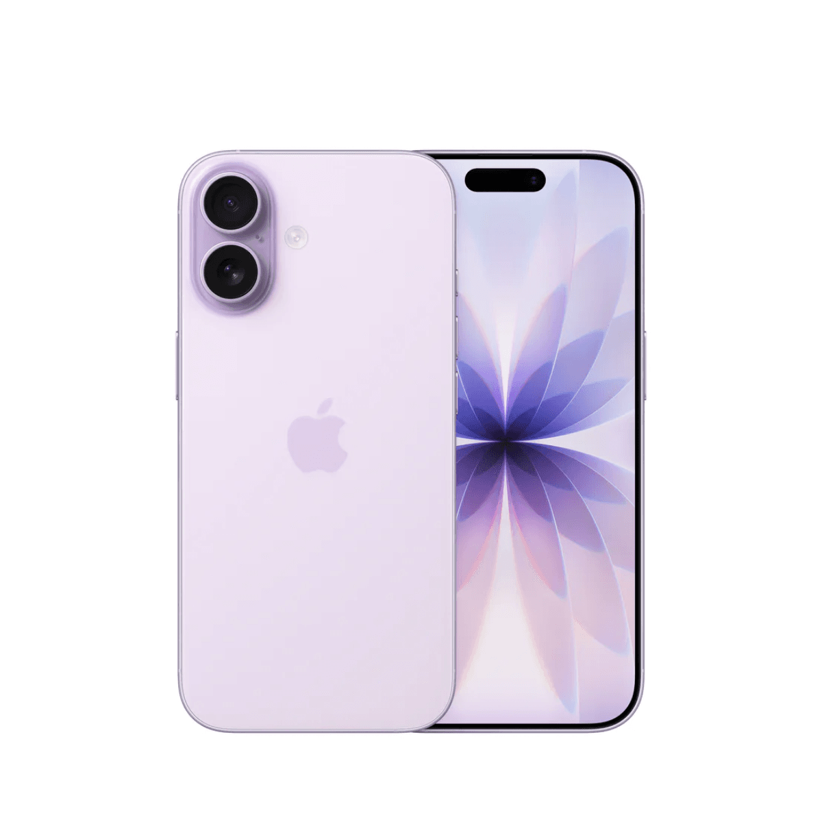 iPhone 17 + FREE 12 Months Warranty