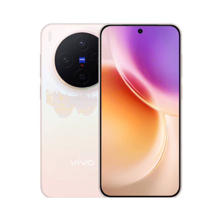 Vivo X300