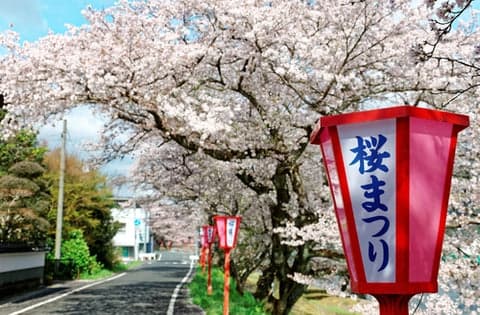 Japanese