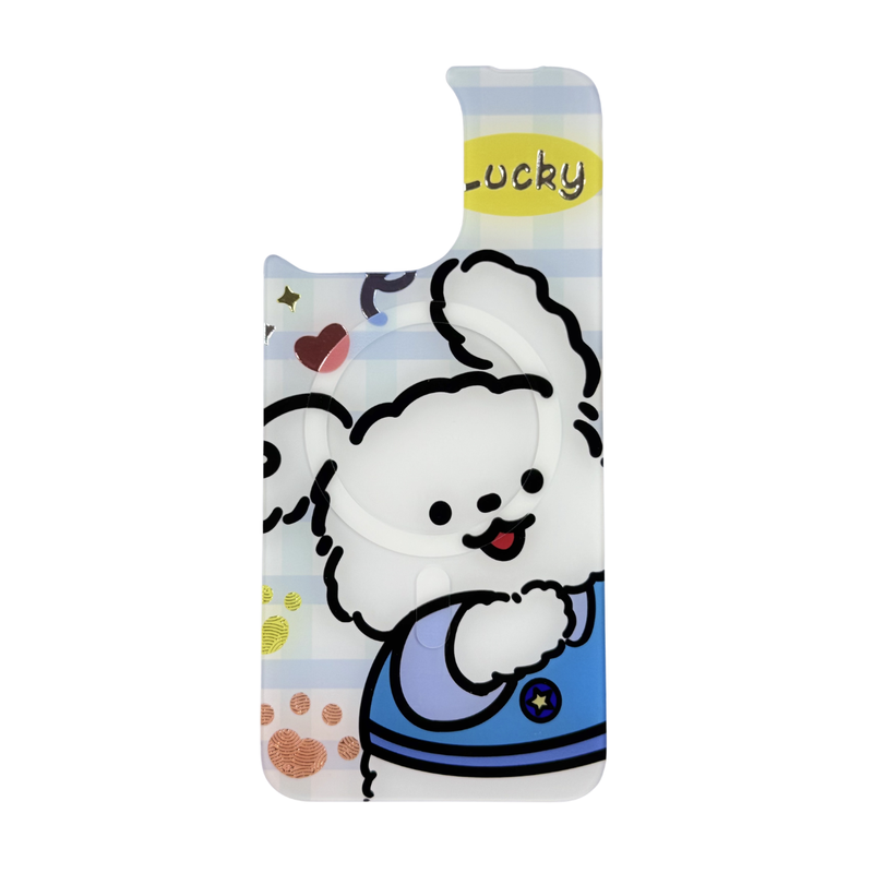 Interchangeable Case