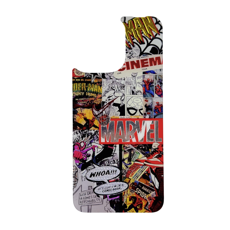 Interchangeable Case