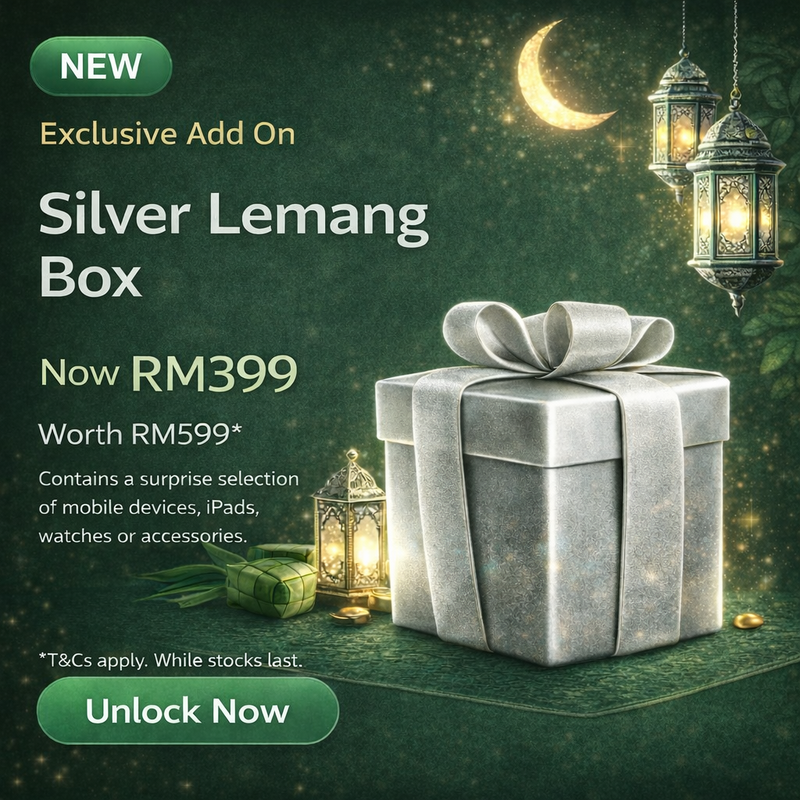 Silver Lemang Box