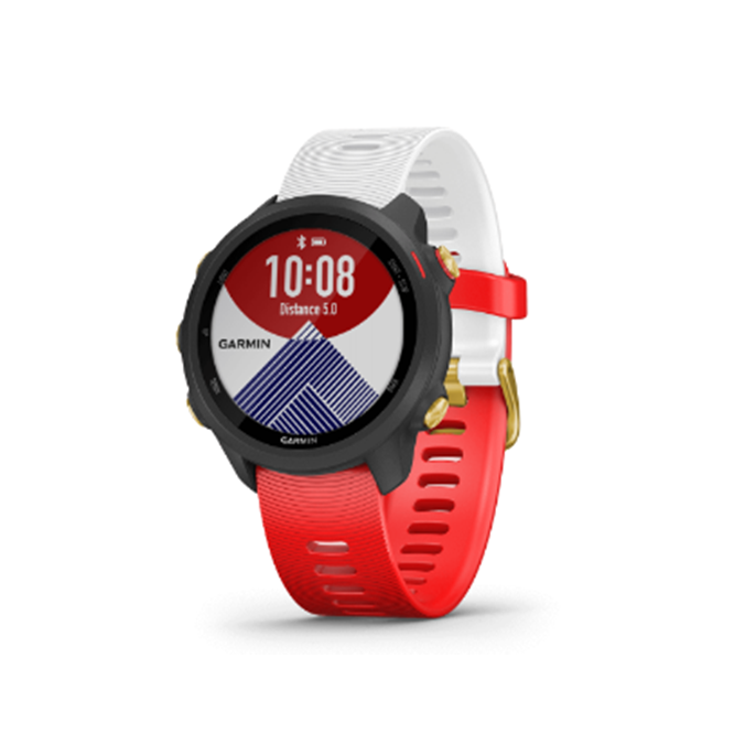 Garmin Forerunner 245 Music