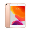 iPad Mini 5th Gen (2019) wi-fi + cellular